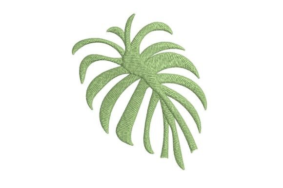 Palm Flow Review